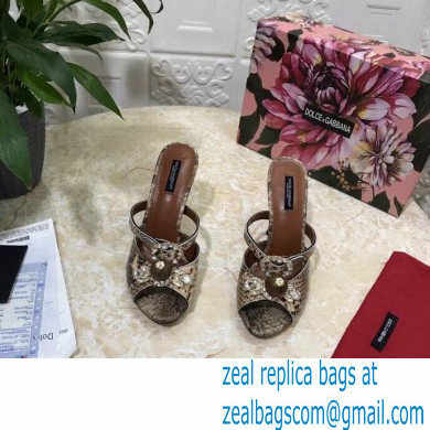 Dolce  &  Gabbana Crystal Heel 10.5cm Python Mules Camel 2021